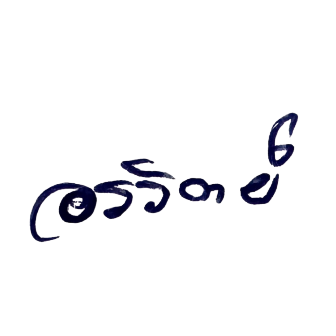 ลายเซ็นผู้ดำเนินการ