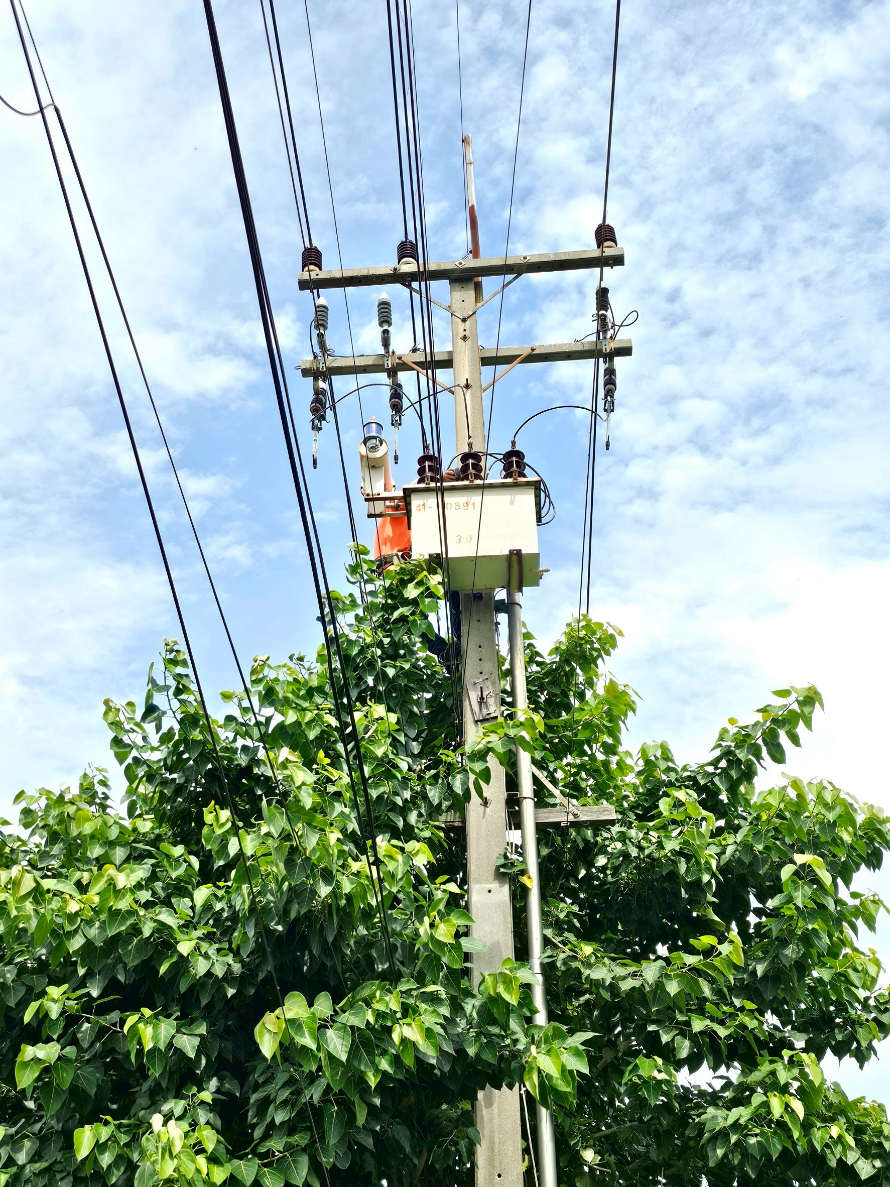 รูปภาพเพิ่มเติม 1